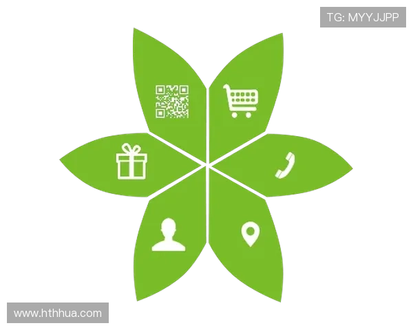 华体会首页的移动端使用体验与功能介绍